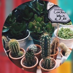 Meet your Posher, Lia